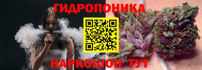 СК Канаш