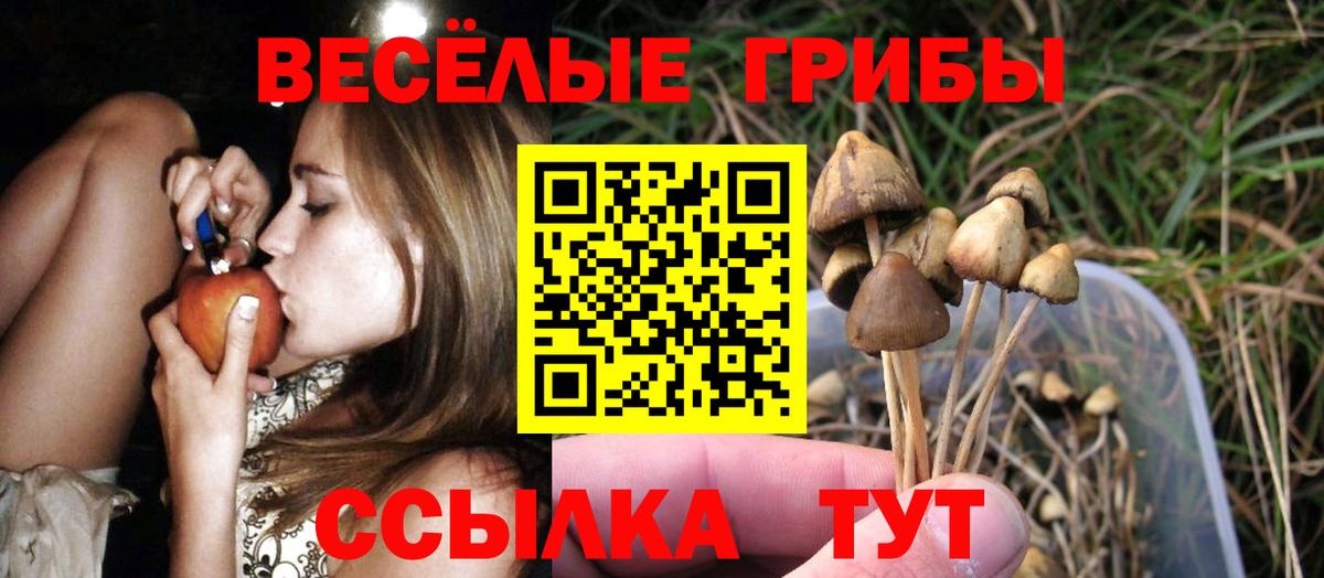 цены   Вход с VPN  Шадринск  Галлюциногенные грибы GOLDEN TEACHER  Галлюциногенные грибы GOLDEN TEACHER 